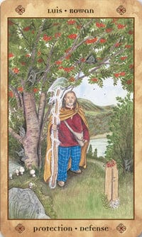 Voice of the Trees Tarot Deck & Book by Mickie Mueller
