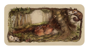 Tarot Decks Whispering Woods Inspiration Cards