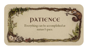 Tarot Decks Whispering Woods Inspiration Cards