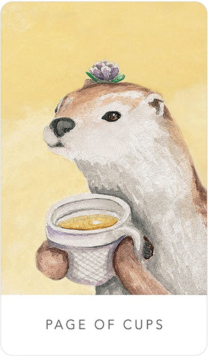 Tarot Decks White Sage Tarot In A Tin