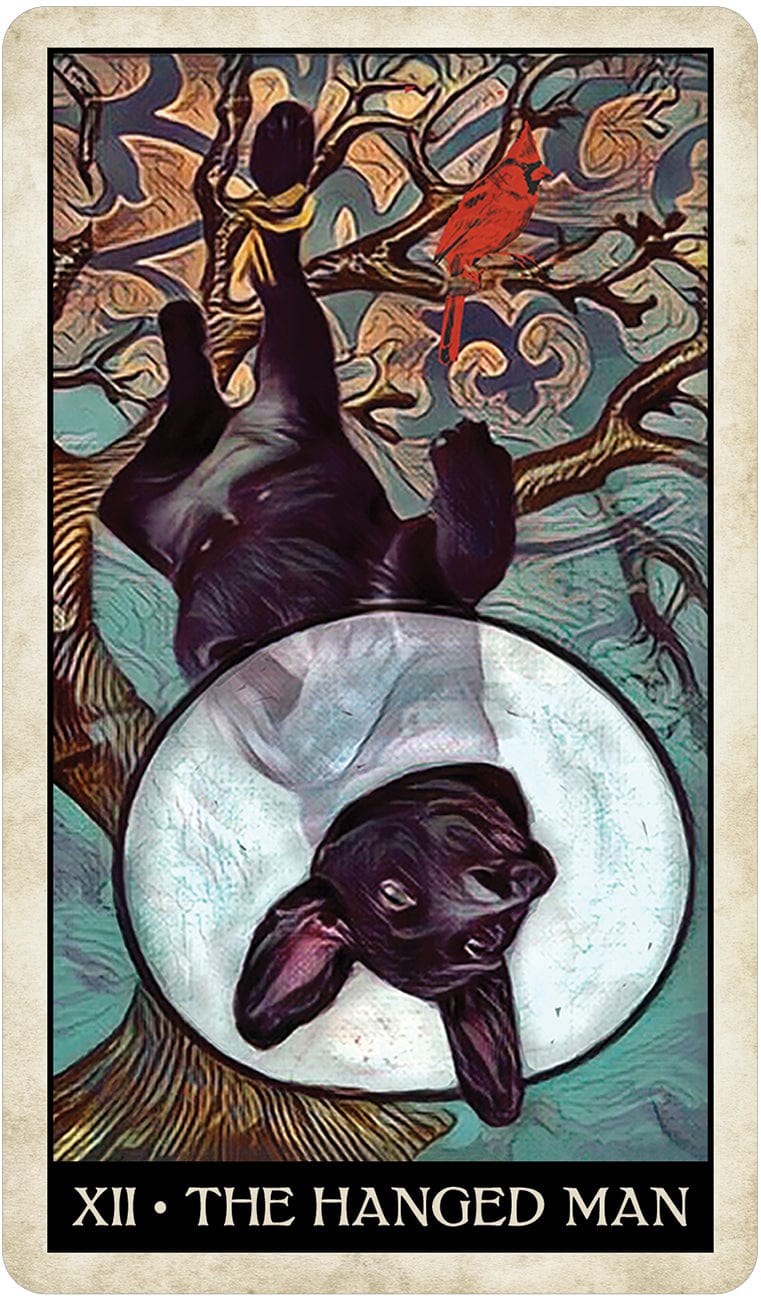 Tarot Decks Wise Dog Tarot