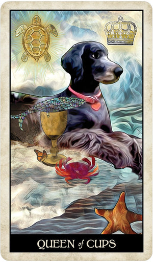 Tarot Decks Wise Dog Tarot