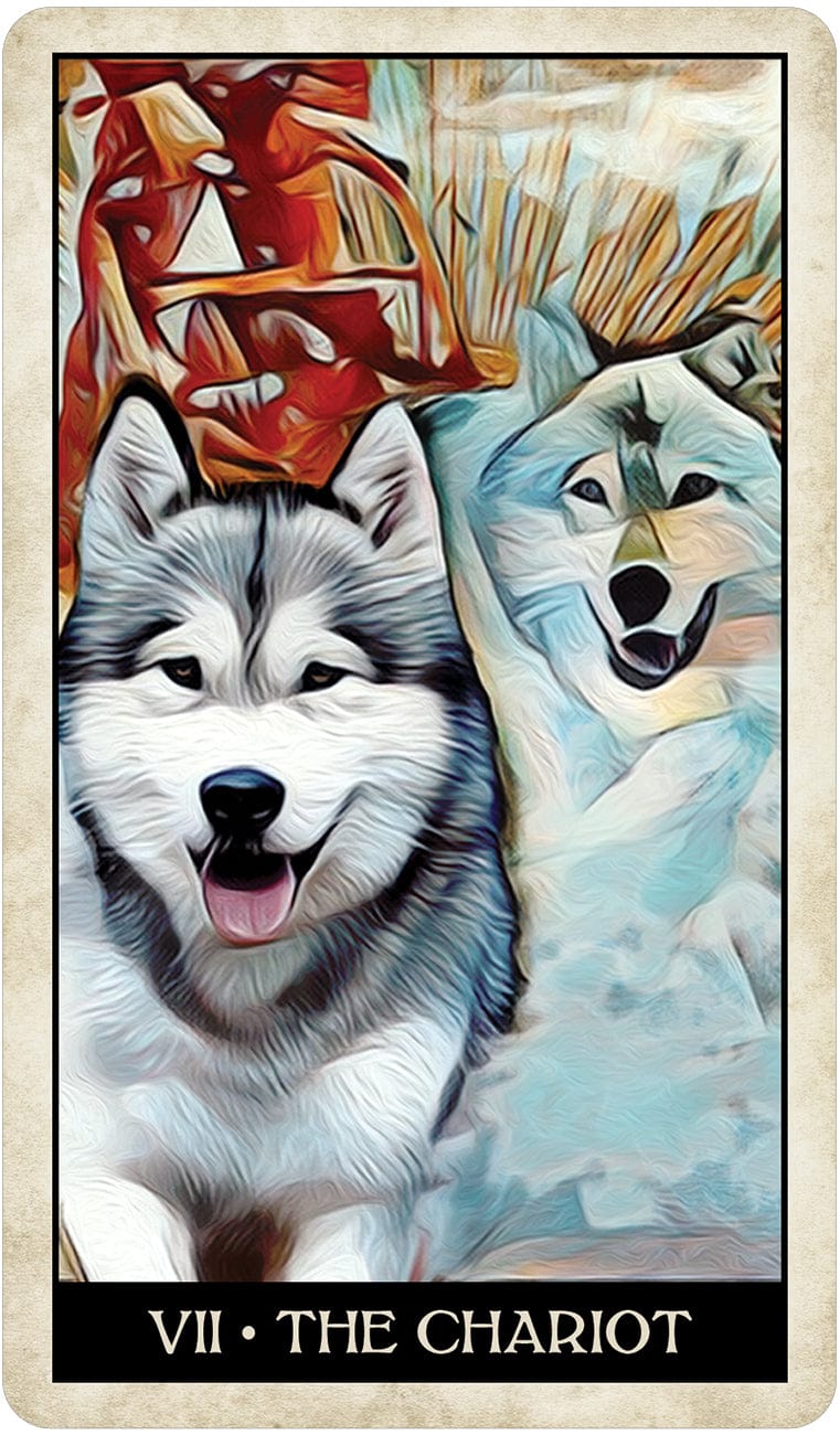 Tarot Decks Wise Dog Tarot