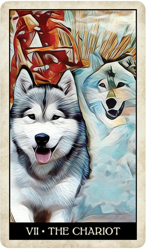 Tarot Decks Wise Dog Tarot