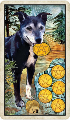 Tarot Decks Wise Dog Tarot