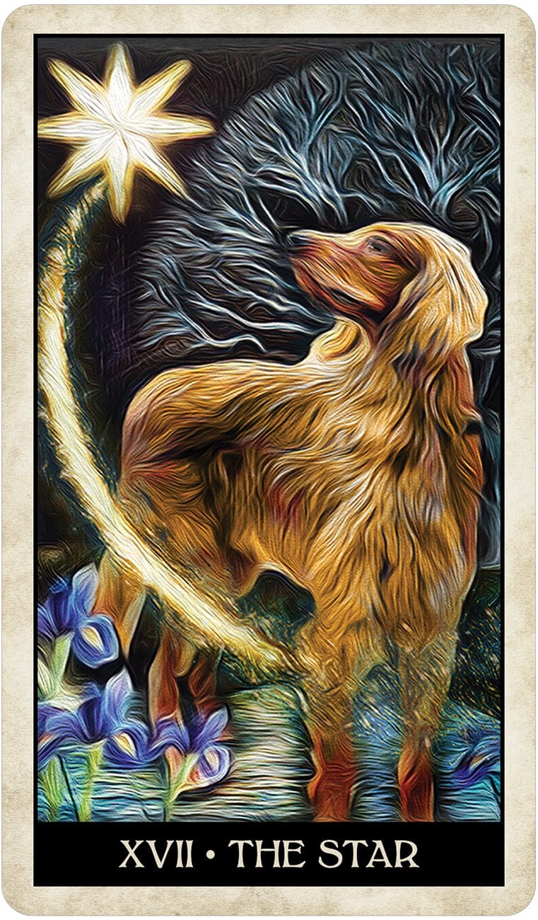 Tarot Decks Wise Dog Tarot