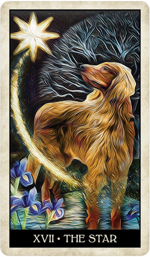 Tarot Decks Wise Dog Tarot