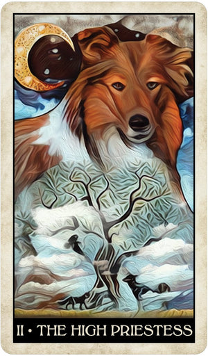 Tarot Decks Wise Dog Tarot