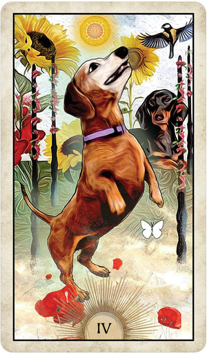 Tarot Decks Wise Dog Tarot