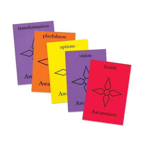The Transformation Game by artists Kathy Tyler and Joy Drake